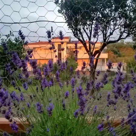 Casa Demetra Appartement