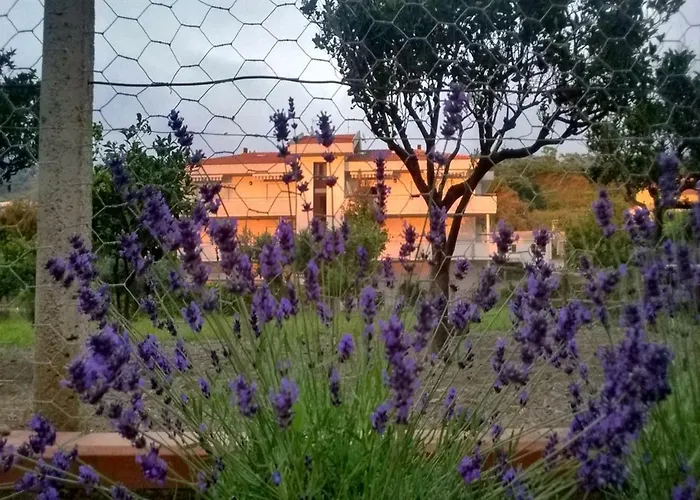 Casa Demetra דירה